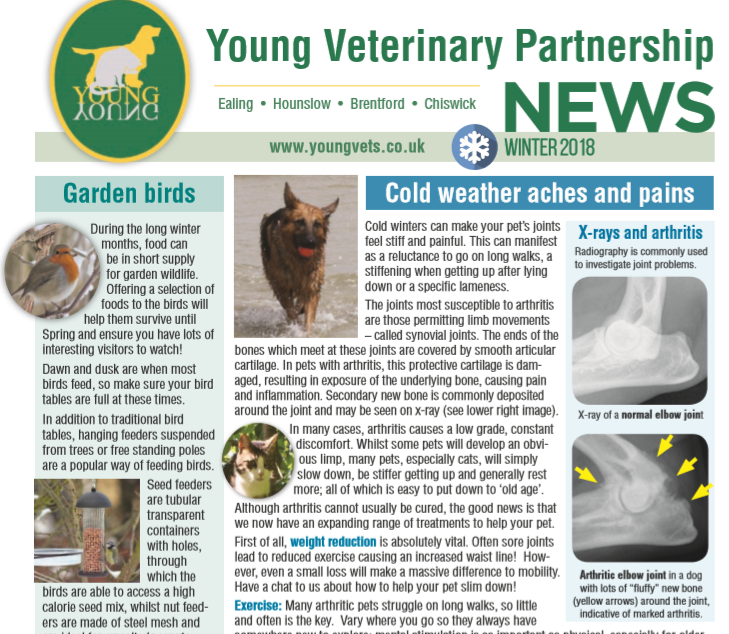 Our Winter News has arrived!