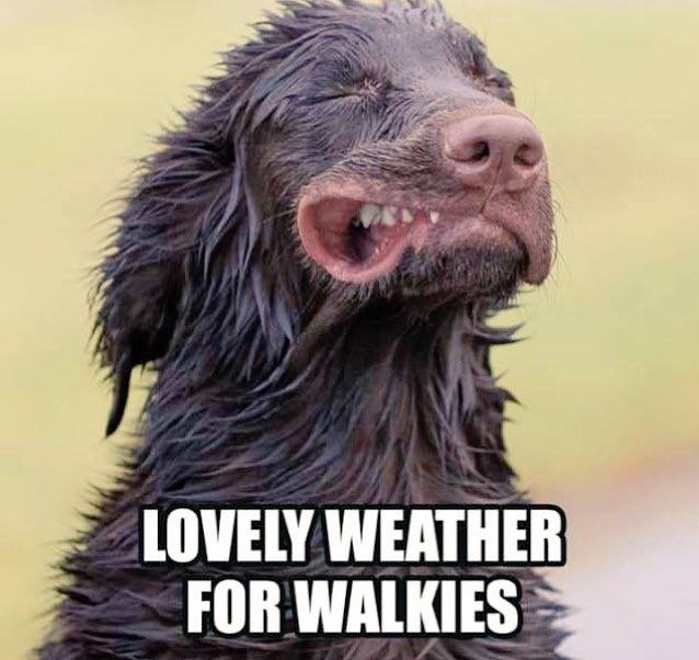 weather for walkies