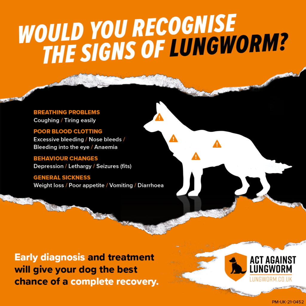 lungworm...